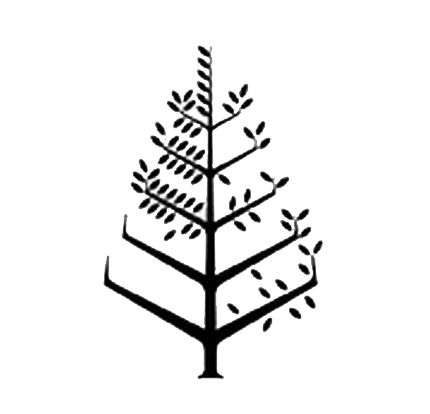 班加罗尔大使馆一号四季酒店 Logo